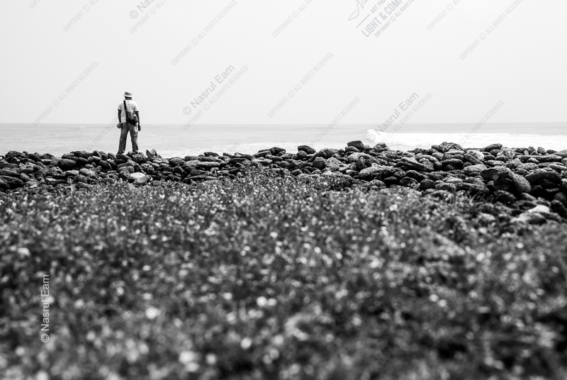 On the Rocky Shore