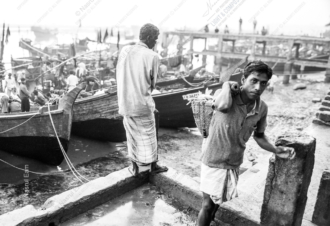 Among the Bustling Activity of the Fishing Boats