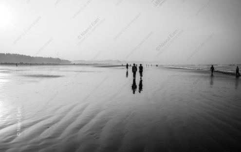 Shoreline Reflections