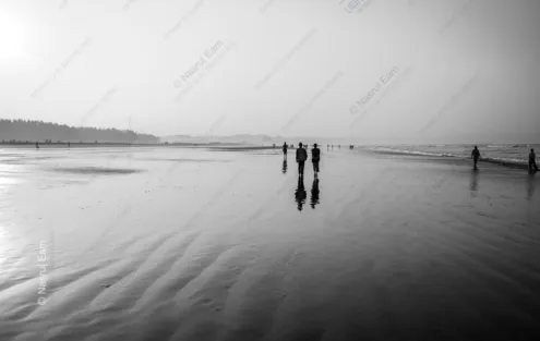 Shoreline Reflections