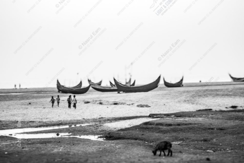 Where the Boats Rest