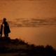 Golden Hour Guardians - Fine Art Photography Prints, Limited Edition Photography, Luxury Photography Art,  High-End Photography Prints, Art Photography Collectors