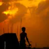 Golden Hour Labor - Fine Art Photography Print, Limited Edition Photography, Museum-Quality Artwork, Contemporary Art Photography, Photography for Collectors