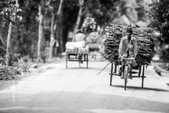 The Weight of the Bundled Sticks - Fine Art Photography Print, Limited Edition Print, Monochrome Photography, Giclée Print, Photography Art