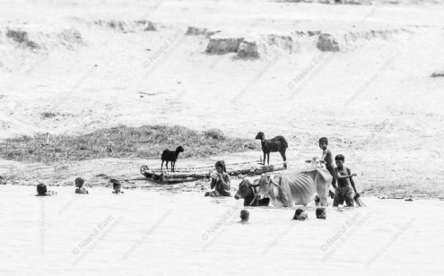 Riverbank Communion - Fine Art Photography Prints, Limited Edition Photography, Museum-Quality Photography, Photography for Collectors,  Contemporary Art Photography