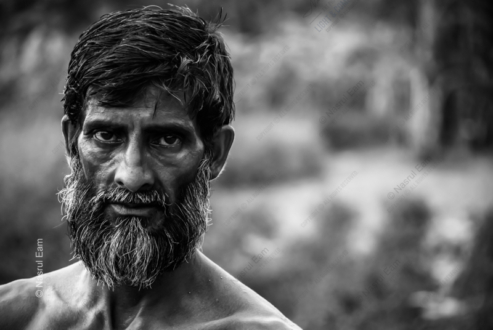 Whispers of Resilience - Fine Art Photography Print, Limited Edition Photography, Museum-Quality Photography,  Art Photography for Sale,  Exclusive Art Photography