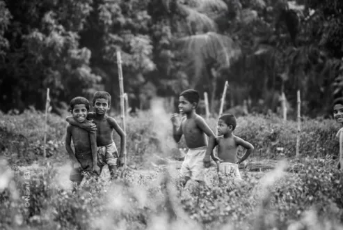 Brothers in the Field - Fine Art Photography Prints, Limited Edition Photography, Giclée Print, Museum-Quality Photography, Art Photography Investment