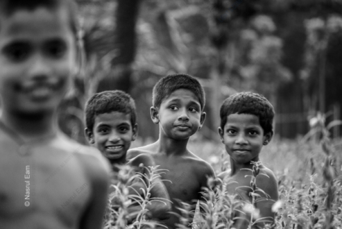Whispers in the Tall Grass - Fine Art Photography Prints, Limited Edition Photography, Giclée Print,  Art Photography Investment,  Museum-Quality Prints