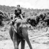 The Mahout's Approach - Fine Art Photography Print, Limited Edition Photography, Museum-Quality Photography, Elephant Photography, Documentary Photography
