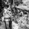 Riders and Observers on a Forest Path