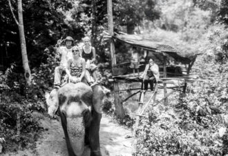 Riders and Observers on a Forest Path