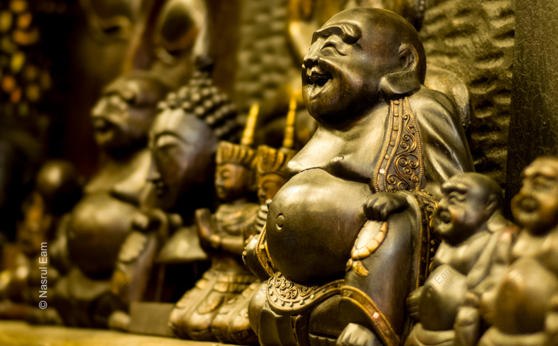Laughing Buddha in the Shadows
