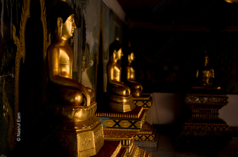 Golden Guardians in Repose