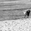 The Forager at the Waterline - Fine Art Photography Print, Limited Edition Photography, Black and White Photography, Giclée Print,  Museum-Quality Print