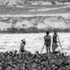 River Workers Amidst the Hyacinths - Fine Art Photography Print, Limited Edition Photography, Black and White Photography, Giclée Print, Art Photography Investment
