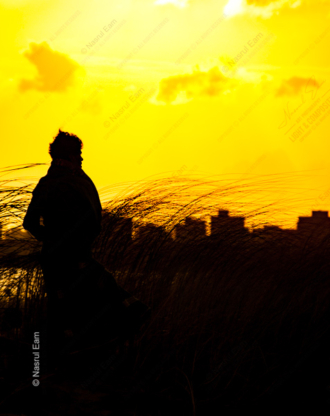 Watcher at the Golden Edge of the City - Fine Art Photography Prints, Limited Edition Photography, Luxury Photography Art, Museum-Quality Photography, Art Photography for Sale