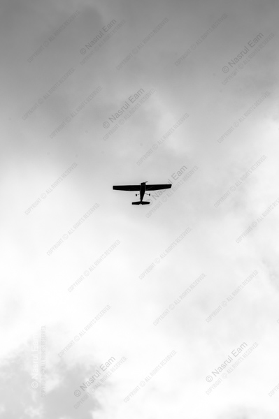 A Solitary Flight Against the Clouds