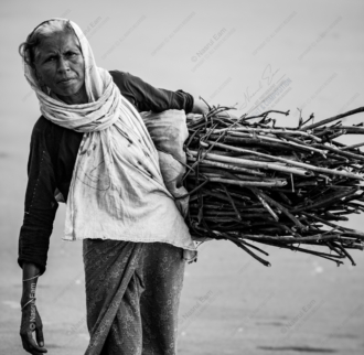 Carrying Branches on Her Back