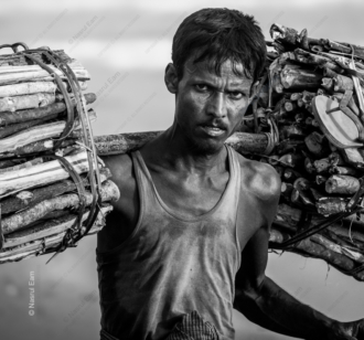 The Burdened Gaze of a Wood Carrier