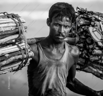 The Burdened Gaze of a Wood Carrier