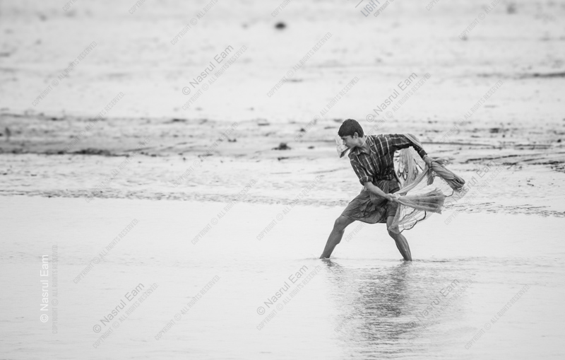 The Boy and the Net