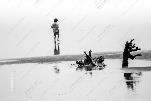 Ephemeral Echoes - Fine Art Photography Prints, Limited Edition Photography, Museum-Quality Photography, Art Photography for Sale,  Luxury Photography Art