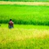 Two Farmers in the Green Rice Field - Fine Art Photography Prints, Limited Edition Photography, Giclée Print, Art Photography, Fine Art Print