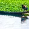 Two Men on a River of Hyacinths - Fine Art Photography Print, Limited Edition Photography, Museum-Quality Photography, High-End Photography Prints, Art Photography Collectors