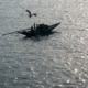 nasrul eam 20080901 Inani Beach to Dhaka LNA 8820