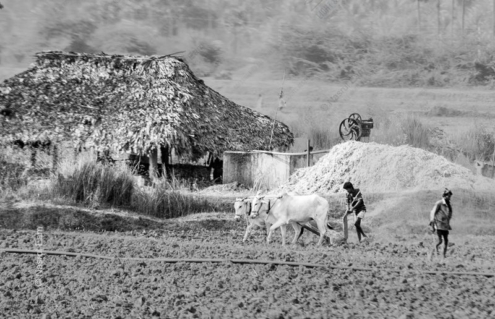Plowing the Earth Beside the Thatched Hut - Fine Art Photography Prints, Limited Edition Photography, Museum-Quality Photography, Black and White Photography, Art Photography Prints