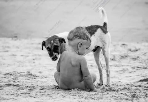 A Moment of Connection - Fine Art Photography Prints, Limited Edition Photography, Museum-Quality Photography,  High-End Photography Prints, Art Photography Collectors