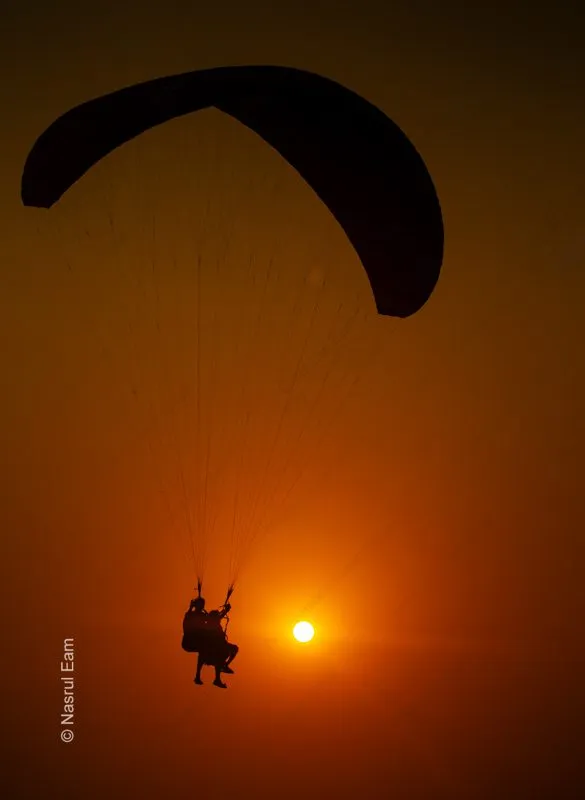 Sunset Flight