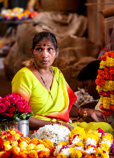 A Woman Amidst the Marigolds