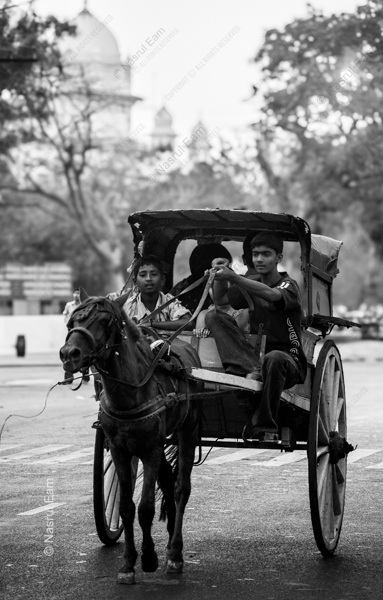 The Young Drivers of the City Carriage