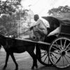 A Horse-Drawn Carriage in Morning Traffic - Fine Art Photography Prints, Limited Edition Photography, Giclée Print,  Art Photography,  Black and White Photography