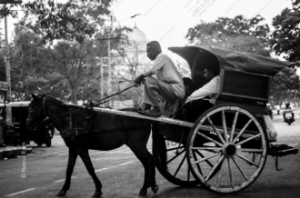 A Horse-Drawn Carriage in Morning Traffic - Fine Art Photography Prints, Limited Edition Photography, Giclée Print, Art Photography, Black and White Photography
