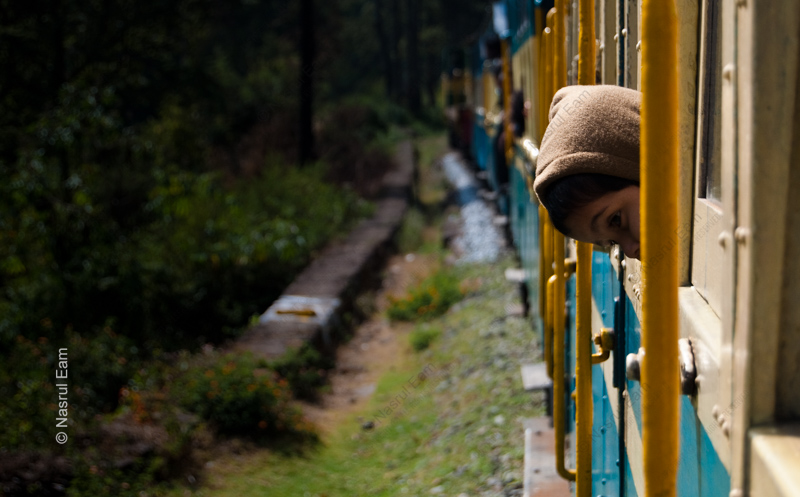 Child's Gaze from a Passing Train