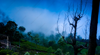 Emerald Slopes and Veiled Light