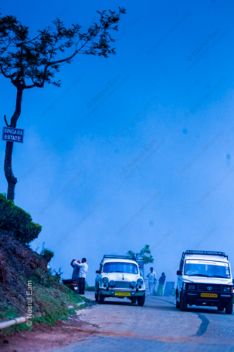 Ascent to Singara Estate - Fine Art Photography Prints, Limited Edition Photography, Luxury Photography Art,  Fine Art Photography, Giclée Photography