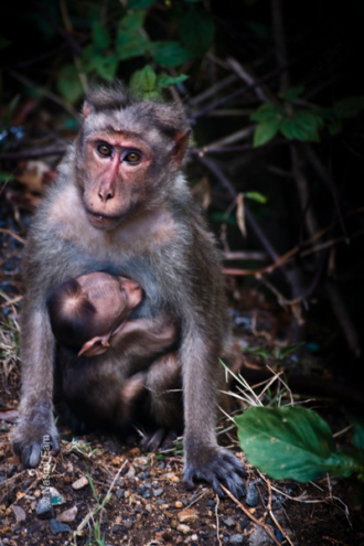 Embrace in the Forest - Fine Art Photography Print, Limited Edition Photography, Giclée Print, Luxury Photography Art, Art Photography for Sale