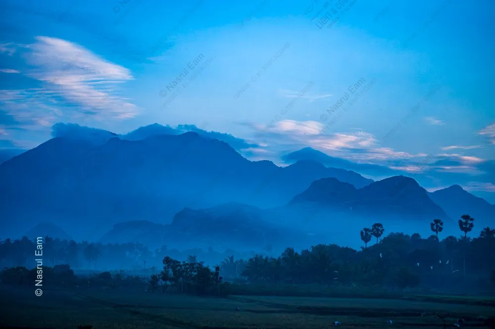 Blue Majesty