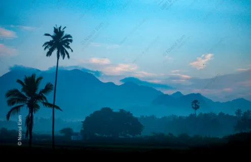 Blue Dawn, Palms and Distant Peaks - Fine Art Photography Print, Limited Edition Print, Luxury Photography Art, Museum-Quality Photography, Fine Art Prints