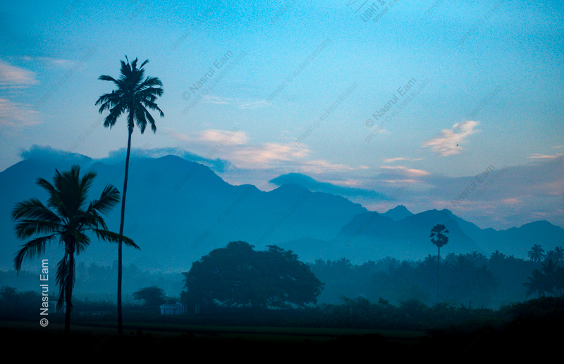 Blue Dawn, Palms and Distant Peaks