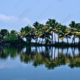 nasrul eam 20090317 Backwater of kerala DSC 4665