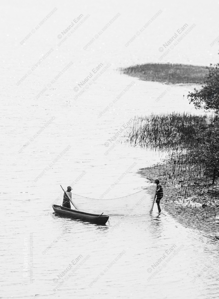 On a Serene Body of Water