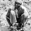 Harvest Joy - Fine Art Photography Prints, Limited Edition Photography,  Black and White Photography,  Museum-Quality Prints,  Art Photography for Sale