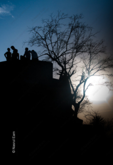 Twilight Gathering - Fine Art Photography Prints, Limited Edition Photography, Luxury Photography Art, Museum-Quality Photography, Art Photography for Sale