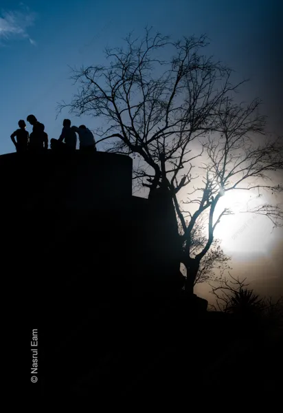 Twilight Gathering