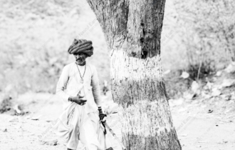 A Traveler by the Whitewashed Tree