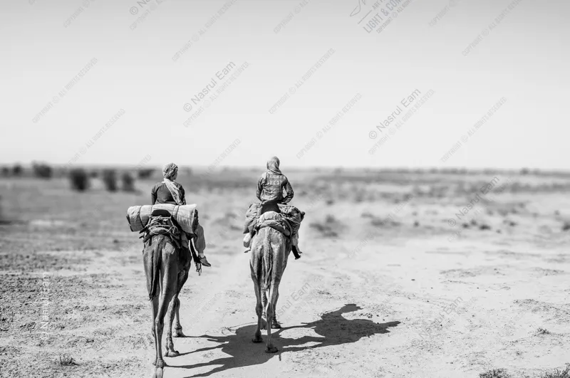 Desert Journey - Fine Art Photography Print, Limited Edition Photography, Monochromatic Photography, Desert Photography, Art Photography for Sale